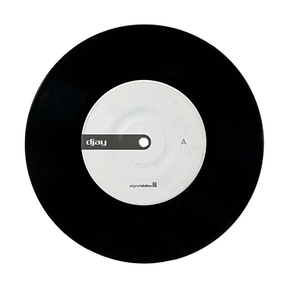 Algoriddim djay PRO AI 7" Control Vinyl black