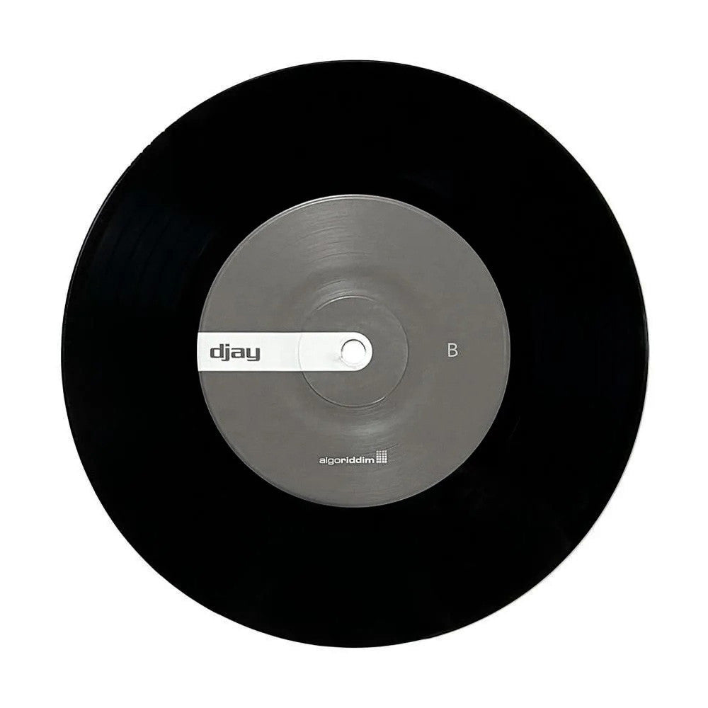 Algoriddim djay PRO AI 7" Control Vinyl black